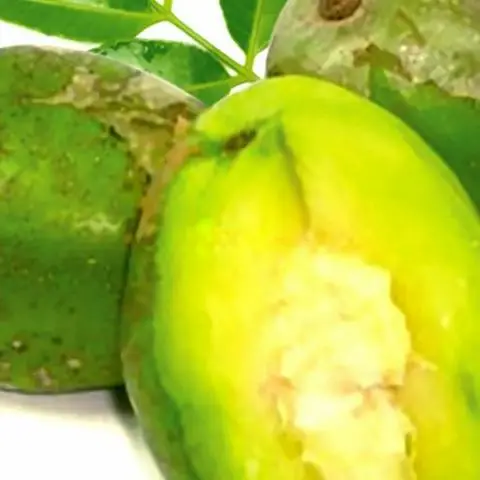 Hình ảnh Cóc - Xoài    500g - Muối Tôm