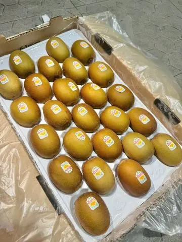 Hình ảnh Kiwi Newzealand 580gr/4trái