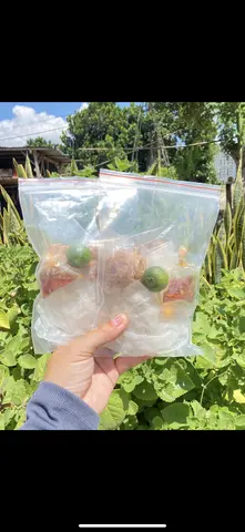 Hình ảnh bánh tráng muối satế tỏi ( chay)