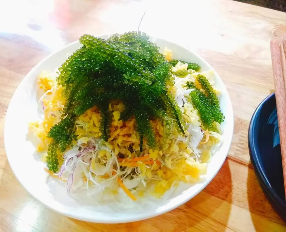 Hình ảnh Xà lách rong nho