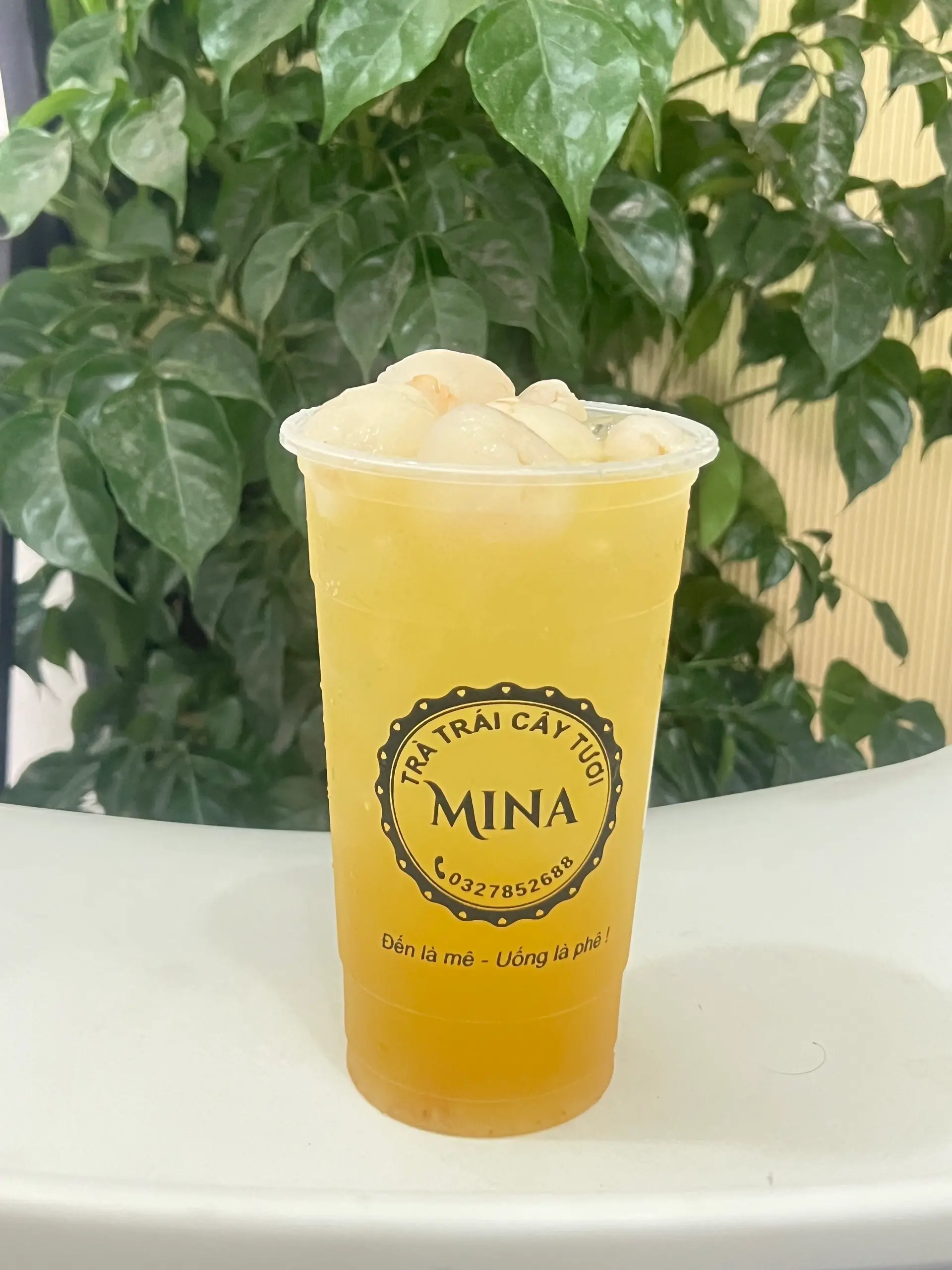 Hình ảnh Trà Vải