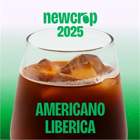 Hình ảnh Americano Liberica M'Drak