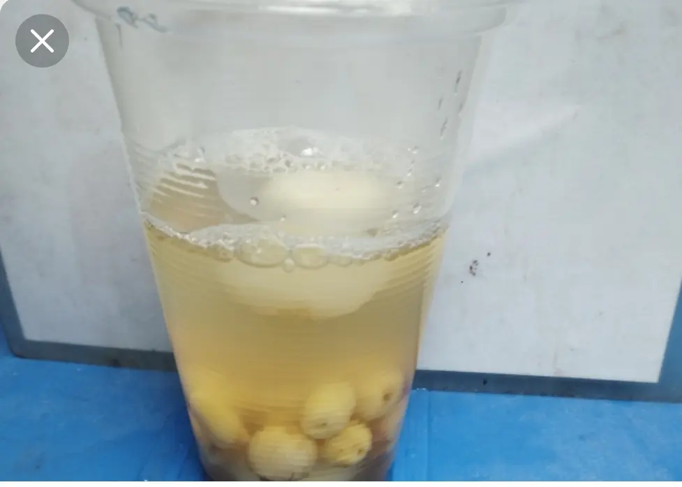 Hình ảnh Chè Hạt Sen, Củ Năng, Củ Sen
