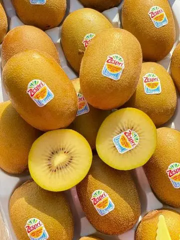 Hình ảnh Kiwi New Zealand cắt sẵn 