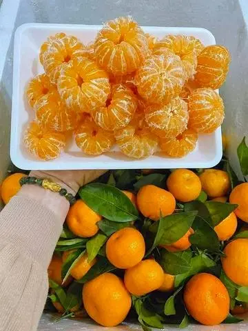 Hình ảnh Quýt  lột sẵn