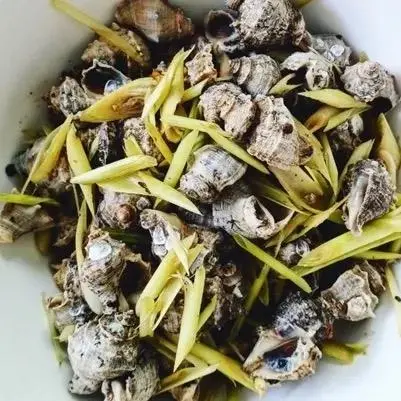 Hình ảnh ốc gai hấp xả
