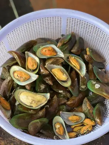 Hình ảnh Mì xào vẹm xanh