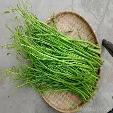 Hình ảnh Rau Muống Thêm.