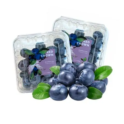 Hình ảnh VIỆT QUẤT HỘP (250gam) 