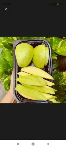 Hình ảnh Ổi +Xoài Keo