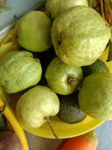 Hình ảnh Nước ép ổi