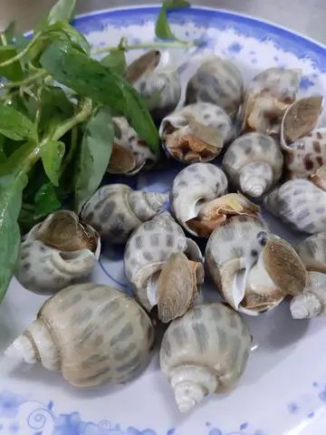 Hình ảnh Ốc hương nướng mọi