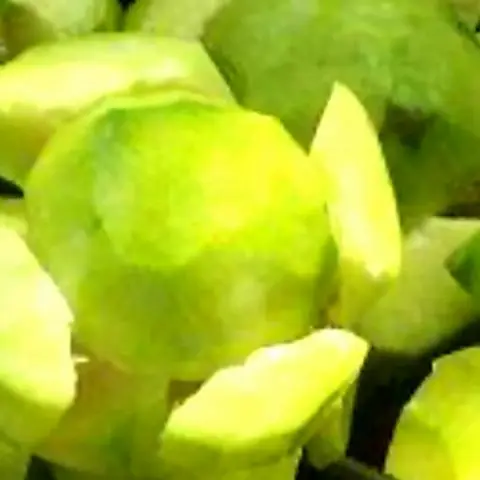 Hình ảnh Cóc 300g - Mắm Ruốc