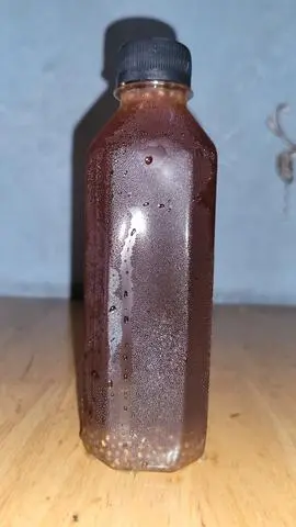 Hình ảnh sâm bí đao hạt chia
