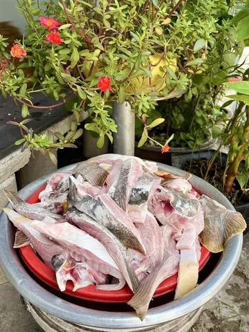 Hình ảnh Cá Đuối thêm 200g