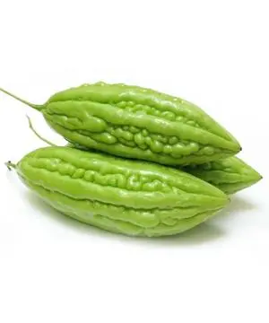 Hình ảnh KHỔ QUA