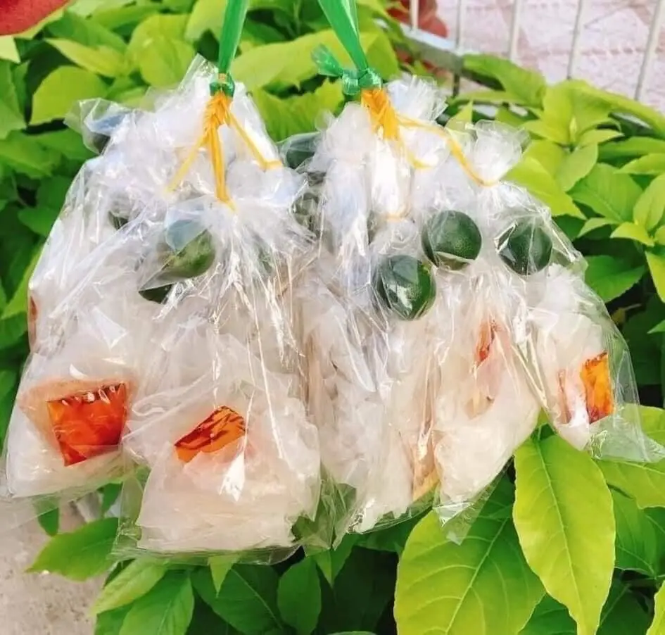 Hình ảnh 1 xâu bánh tráng vò muối tắc