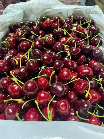 Hình ảnh Cherry Úc 