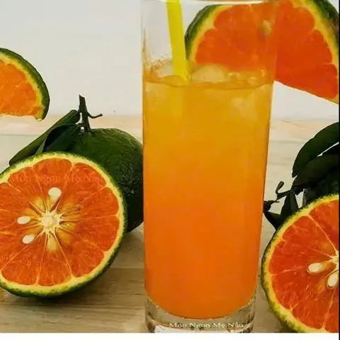 Hình ảnh cam vắt 