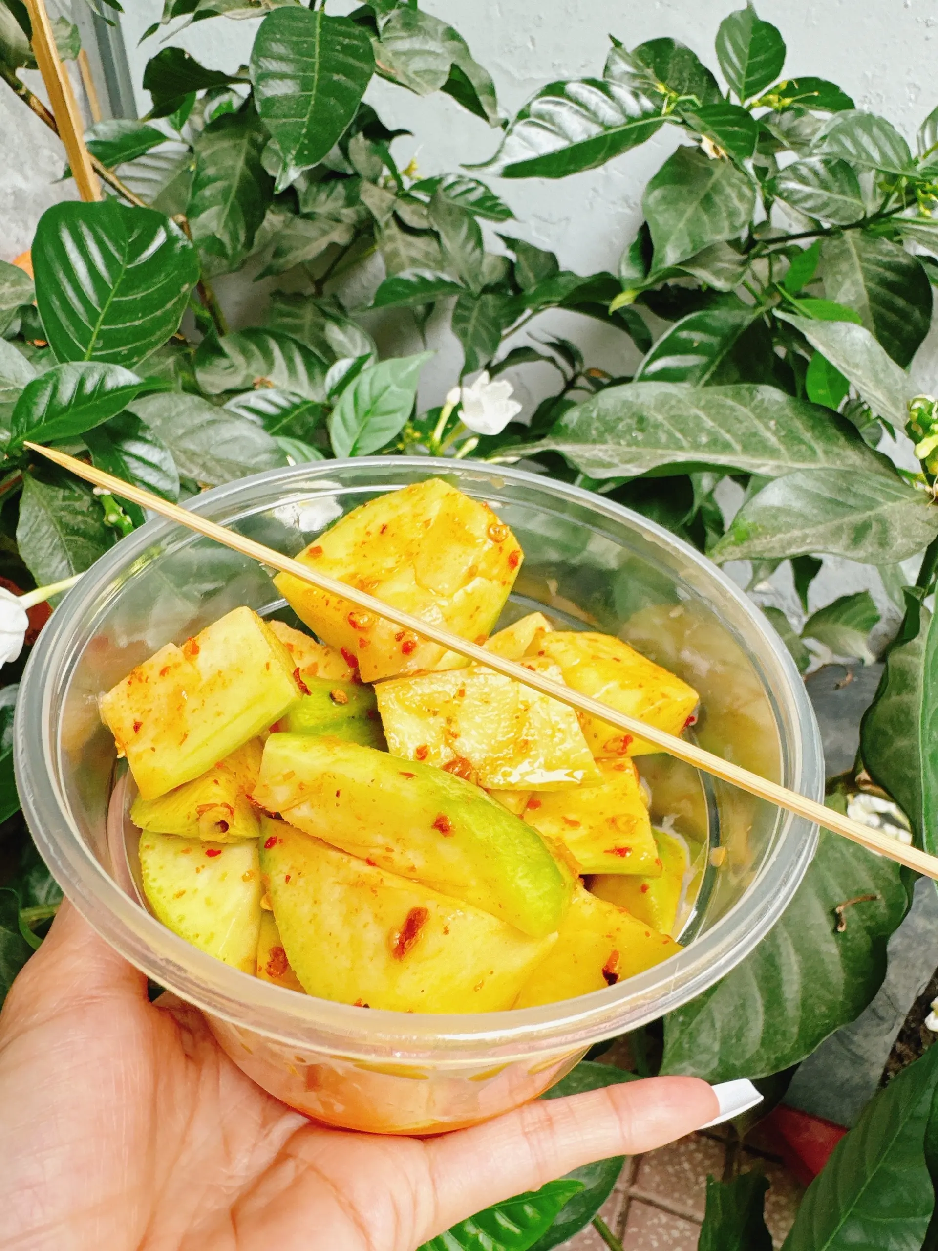 Hình ảnh Xoài Lắc Thái Thần Thánh-1 phần