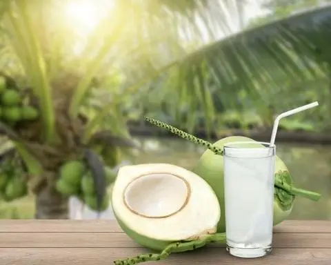 Hình ảnh Nước Dừa Truyền Thống 