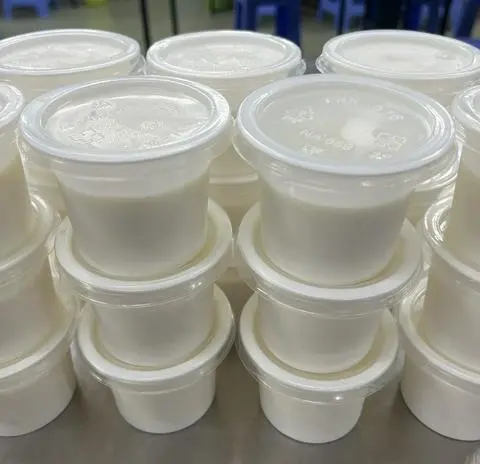 Hình ảnh Yaourt