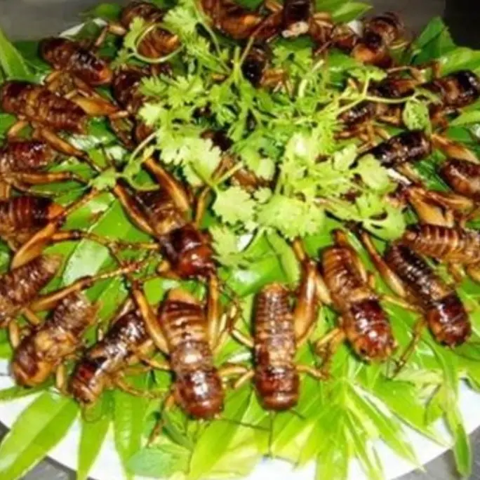 Hình ảnh DẾ MÈN CHIÊN DÒN (hoặc rang muối, chiên mắm)