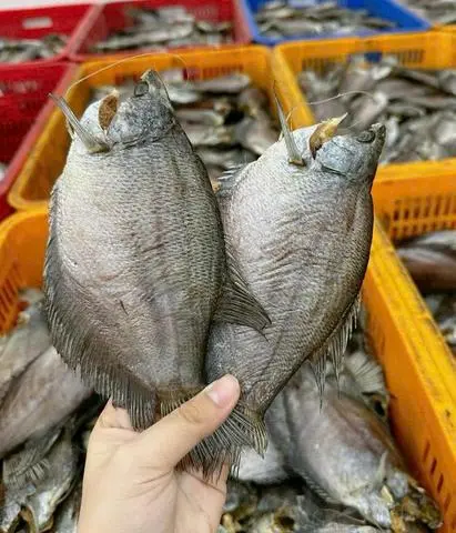 Hình ảnh Khô Cá Sặc Bổi 500g 