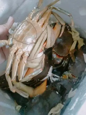Hình ảnh cua thịt sống 4con kg bao ăn 