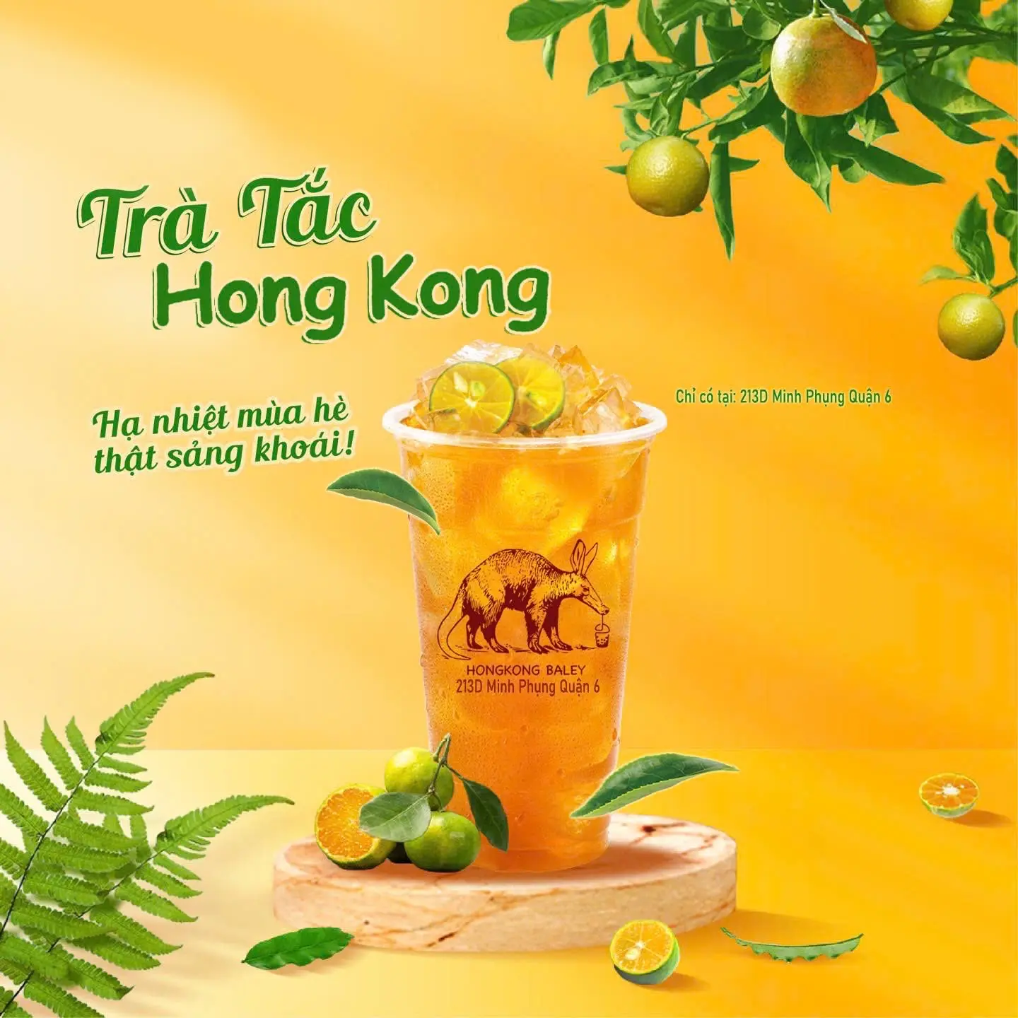 Hình ảnh TRÀ TẮC HONGKONG (L) New