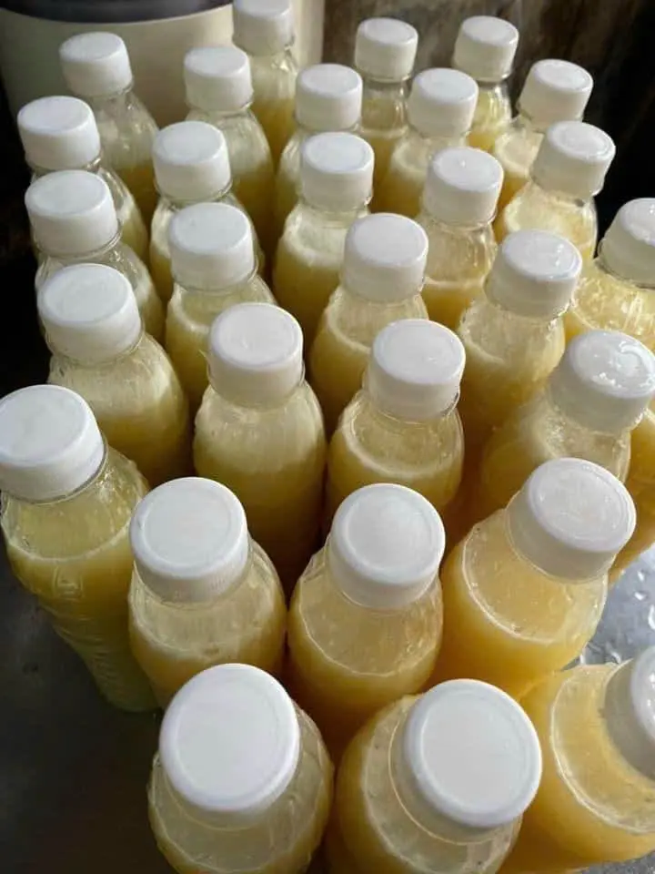 Hình ảnh Táo - thơm - hạt chia mix