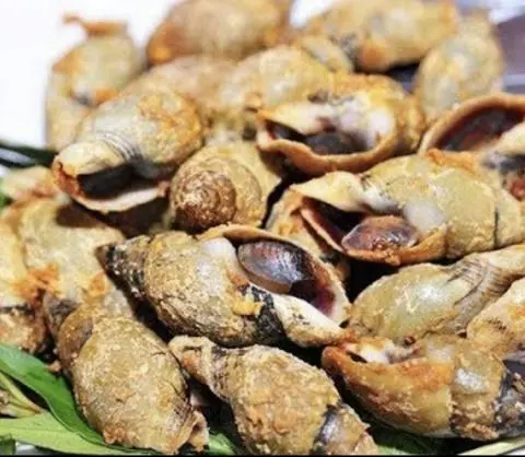 Hình ảnh ốc cà na rang muối 