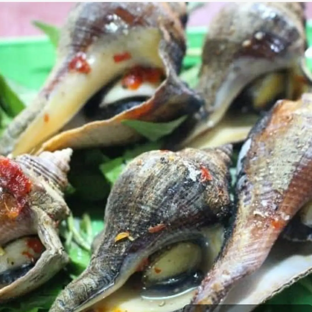 Hình ảnh ốc búa nướng mắm ớt 