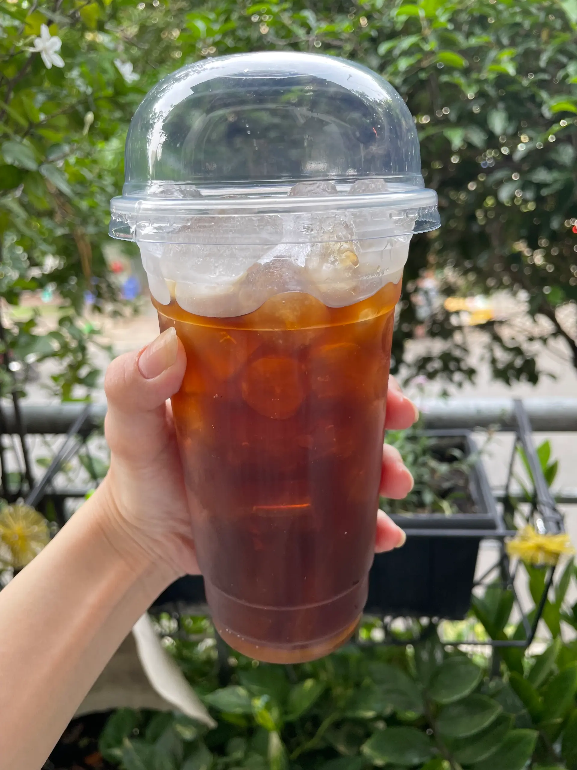 Hình ảnh Trà Ổi - 1 Ly