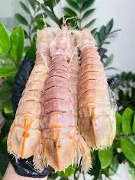 Hình ảnh Tôm tít nguyên con 200g (3-4 con)