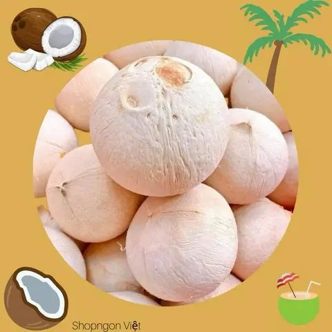 Hình ảnh Dừa Xiêm