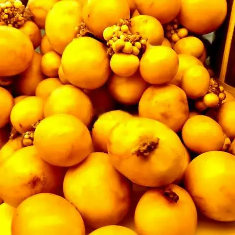 Hình ảnh Trứng non thêm