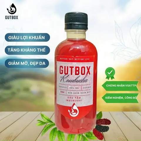 Hình ảnh Kombucha dâu tằm