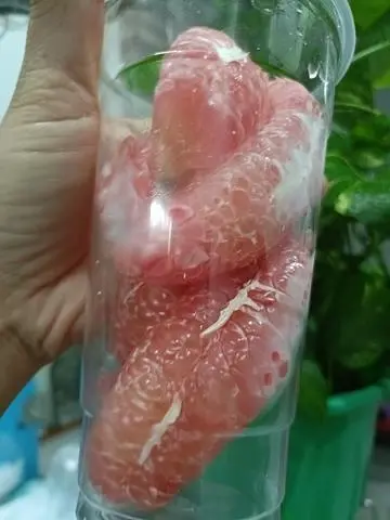 Hình ảnh bưởi tách múi 