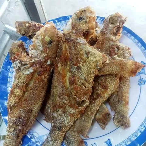 Hình ảnh Cá chiên