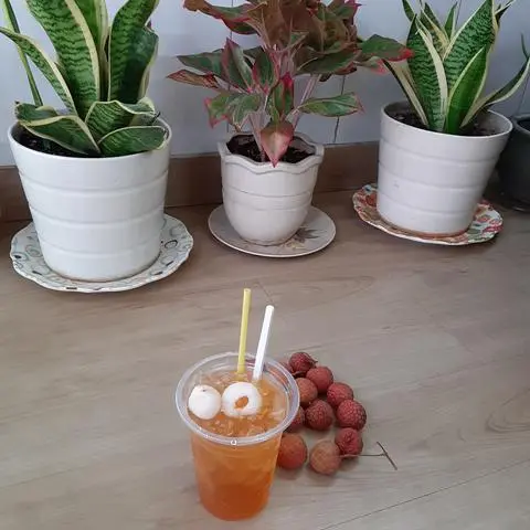 Hình ảnh Trà Vải Dầm