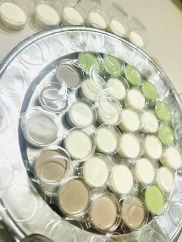 Hình ảnh Panna cotta socola