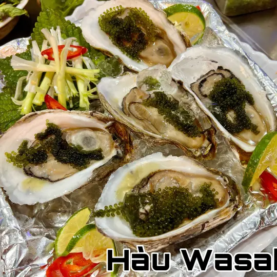 Hình ảnh Hàu wasabi