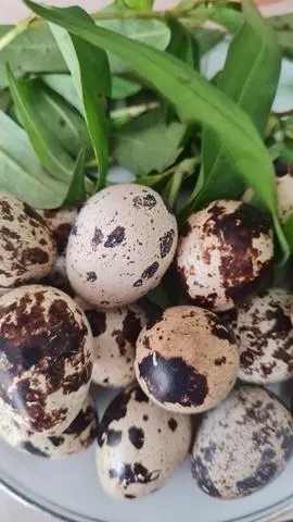 Hình ảnh Bánh tráng trộn