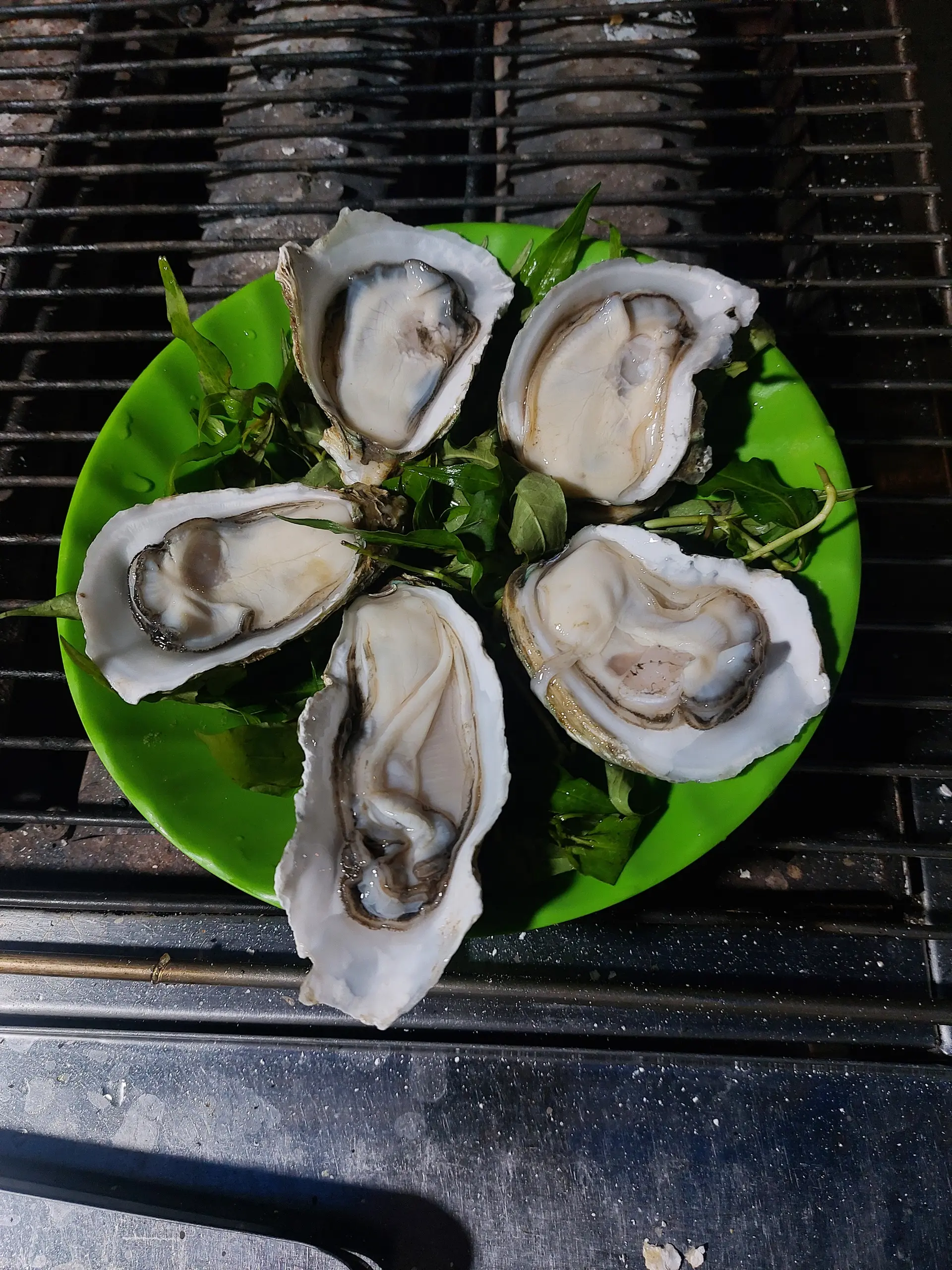 Hình ảnh hàu nướng mọi 