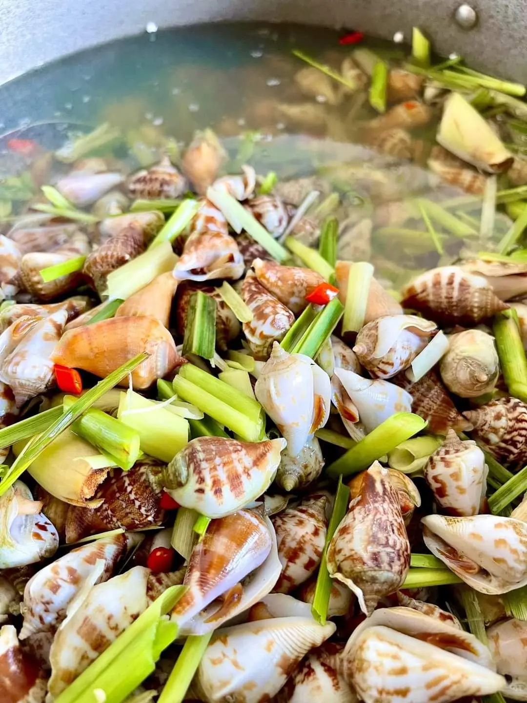 Hình ảnh Ốc Nhẩy Nướng Muối Ớt. Nướng mọi
