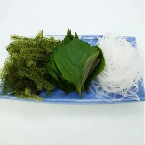 Hình ảnh rong nho+ lá tía tô+ cải bào.