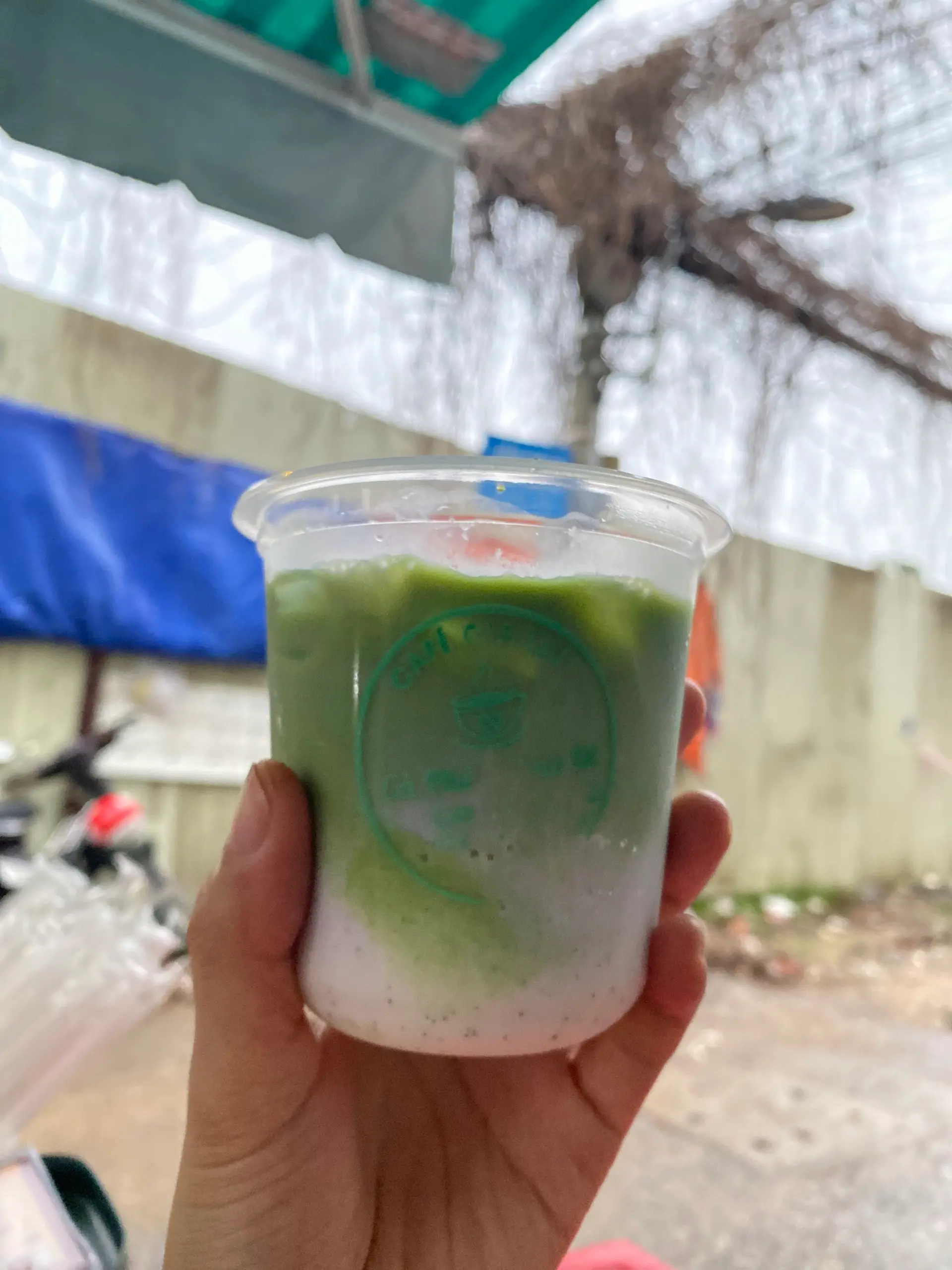 Hình ảnh Khoai Môn Matcha M