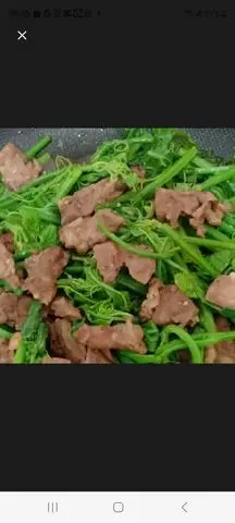 Hình ảnh Đọt su xào bò