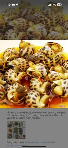 Hình ảnh Ốc hương